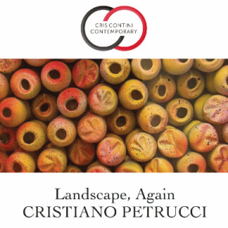 Landscape, Again by Cristiano Petrucci