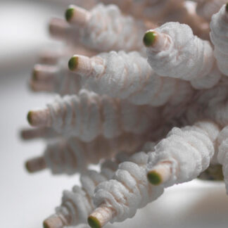 In the Company of Makers: a celebration of entrepreneurial craftsmanship