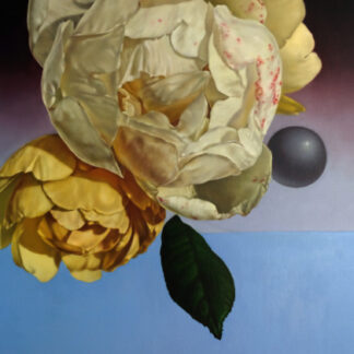 Flowers’ Shadow | Solo Exhibition by Yuki Aruga