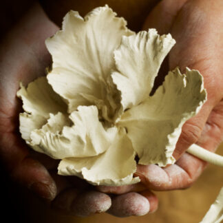 The 2026 House & Garden Craft Prize Showcase