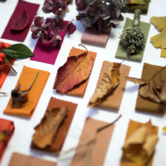 The Craft of Colour – An Immersive Installation