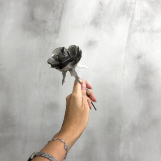 Baremetal Rose Workshop