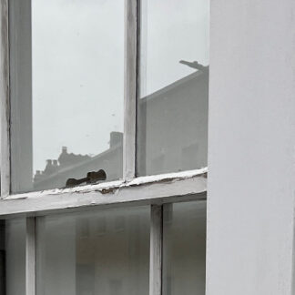 Myth-busting: Wooden sash windows needn’t go in the skip