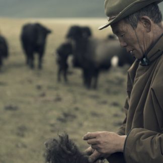 Crafting Sustainability: The Tengri Way