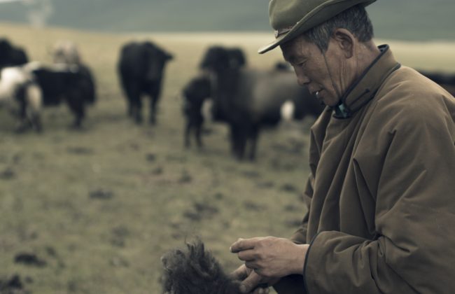 Crafting Sustainability: The Tengri Way