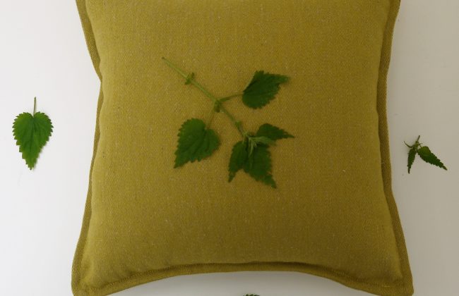 All-Natural Cushion Workshop