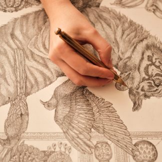 Exploring The Savage Kingdom: Inspiration and Illustration with Sabina Savage