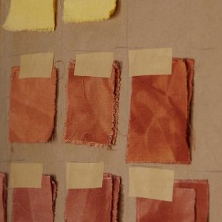 Botanical Cloth-Dyeing Workshop with Cloth Collective