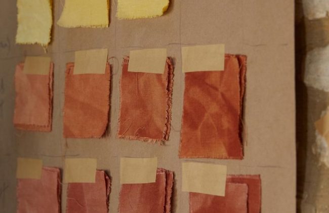 Botanical Cloth-Dyeing Workshop with Cloth Collective