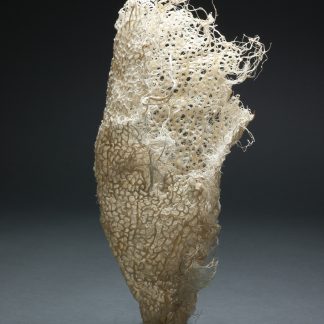 Rooted