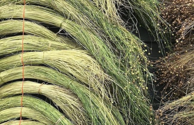 Flax Piece #1: The Process of Making Flax Into Thread
