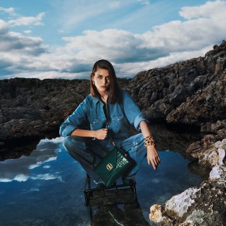 Bally Ecdysis Collection