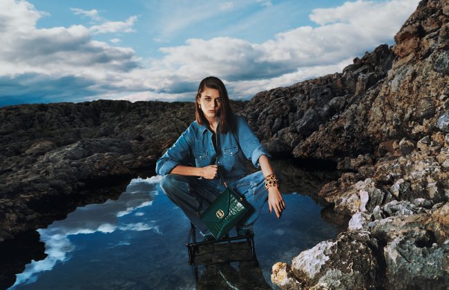 Bally Ecdysis Collection
