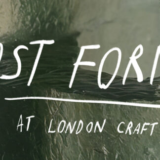 Lost Forms