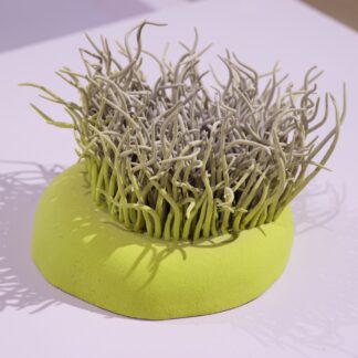 Secret Ceramic